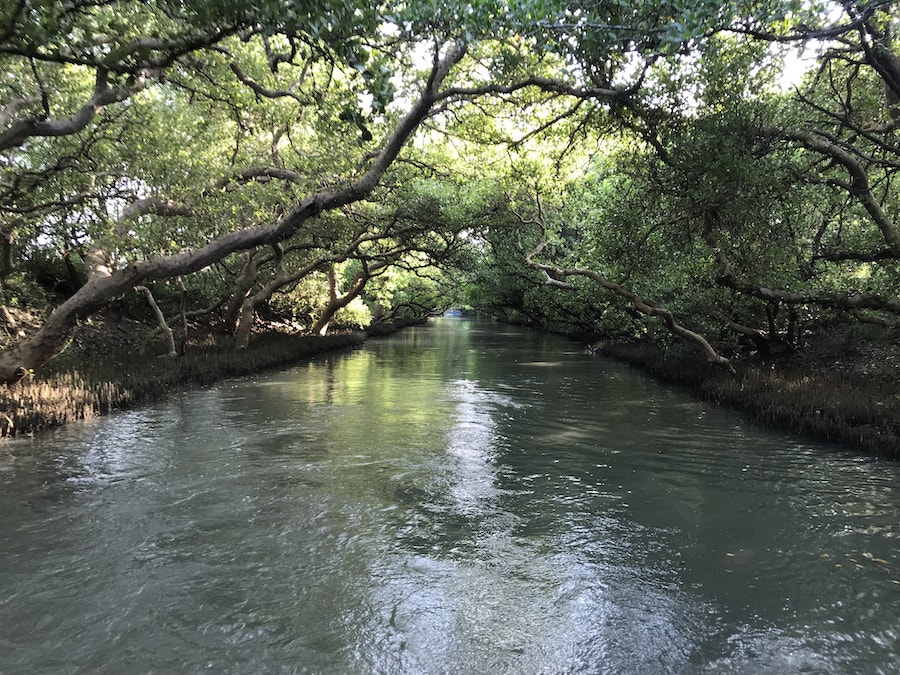 台南景點/四草綠色隧道:船班時間、門票預約資訊、交通方式、旅遊行程規劃